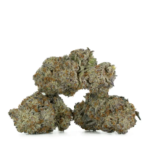 Blueberry-by-DJ-Short-Strain-Multi-2 Blueberry by DJ Short