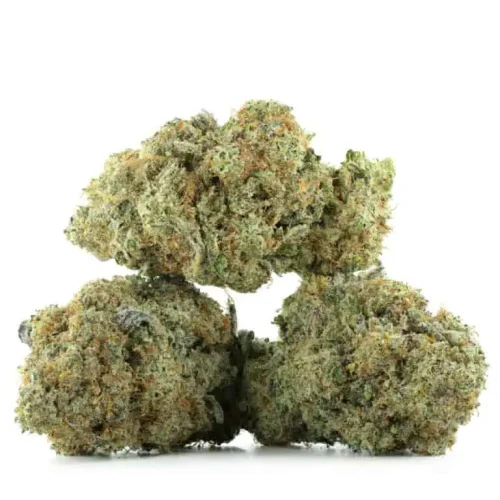 Fruit-Gushers-Strain-Multi-3-768x768 Fruit Gushers