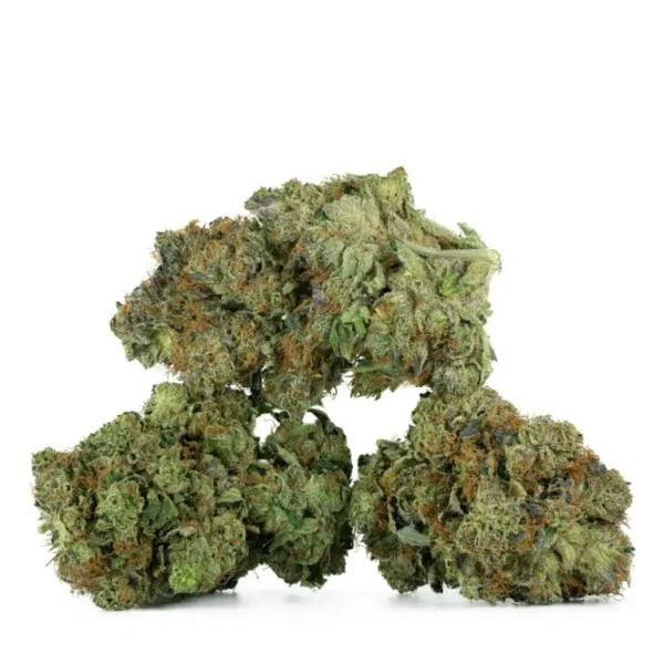 Master-Kush-Strain-Multi-4-768x768 Master Kush