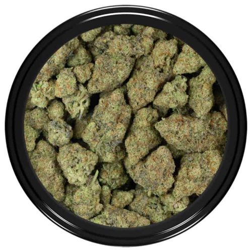 Miracle Alien Cookies #10