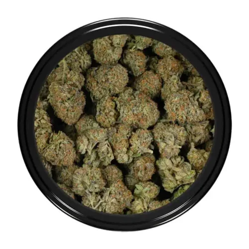 Peanut Butter Breath