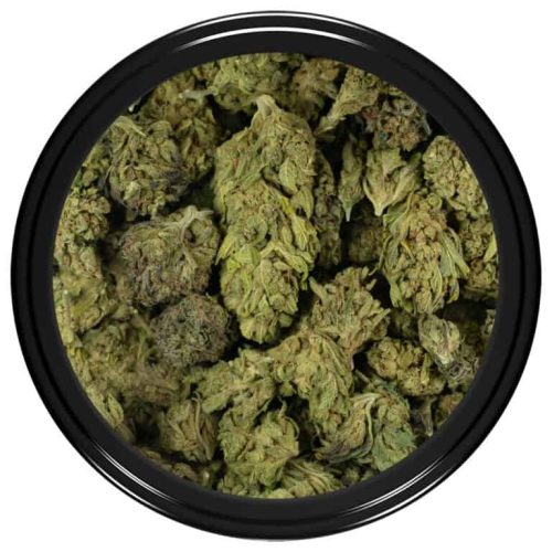 Trainwreck (Smalls)